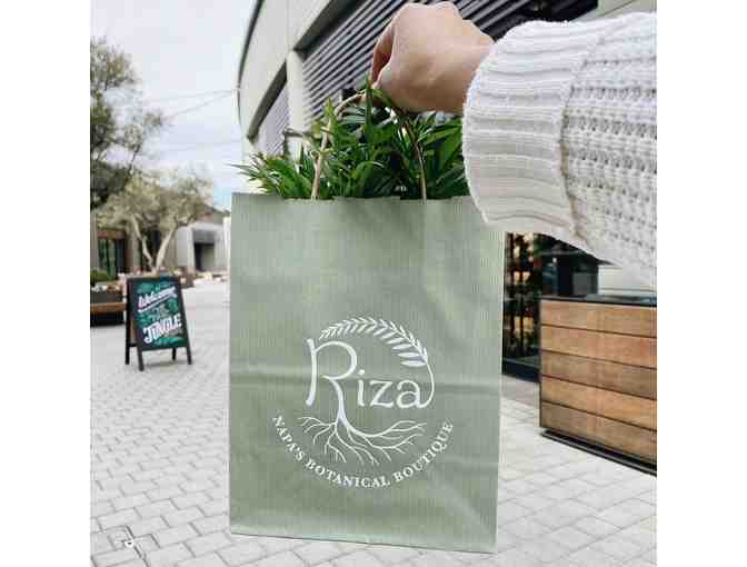 PLANT LOVING VALENTINE! Onward Sparkling Rose + RIZA Plants, Napa + Collectible Pottery