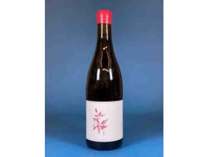 Arnot-Roberts 2019 Legan Pinot Noir, Santa Cruz Mountains - 1.5L