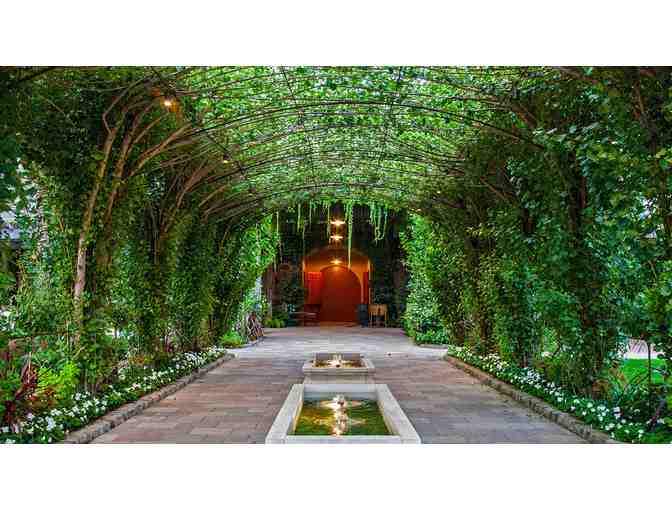 Caymus Vineyards - Wagner Family Portfolio of Wines, Tasting for 6 Guests