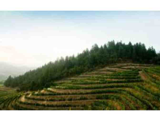 PINE RIDGE, Napa Valley - 2018 Stags Leap Cab Sauv + 2020 Sauv Blanc, 2 Bottles