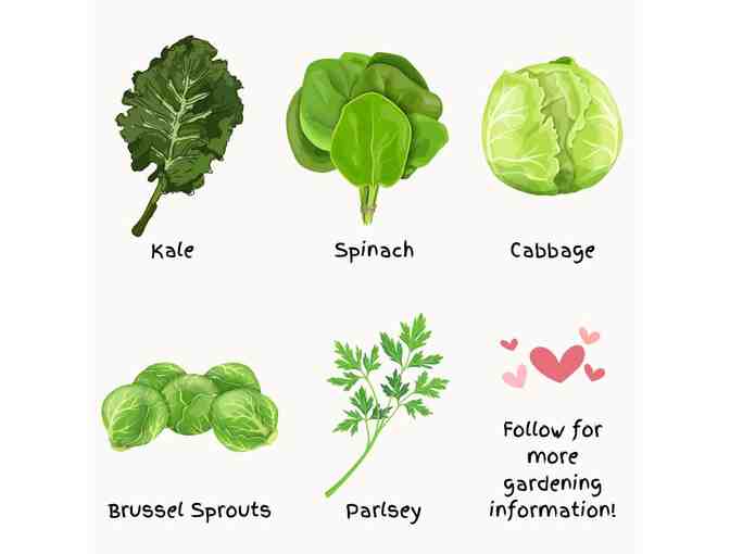 Backyard Garden Basket + Site Visit from Napa Seed Library's Lauren Buffaloe Muscatine