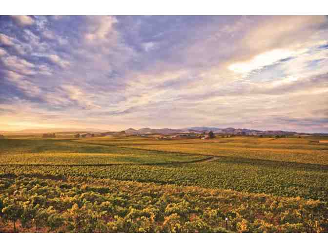 Bouchaine Vineyards Carneros Experience! 3 Magnums + Private Tour, Tasting, Lunch for 6