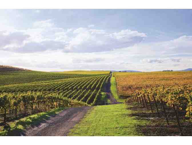 Bouchaine Vineyards Carneros Experience! 3 Magnums + Private Tour, Tasting, Lunch for 6