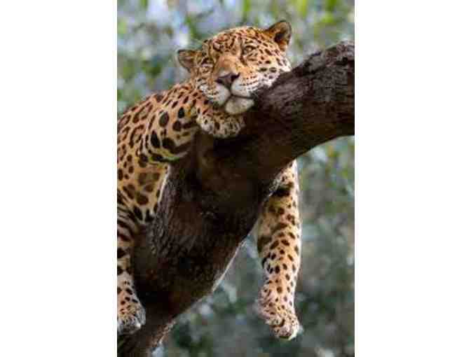 Oakland Zoo -- Family Day Pass