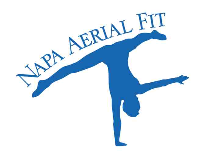 Aerial Silks! GIRLS GONE WILD AND UPSIDE DOWN!