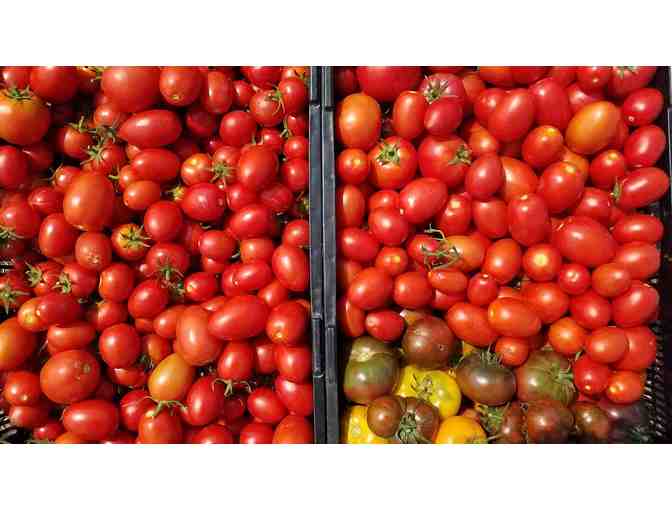 Rent-A-Farmer with Farmer Chris of Stone Bridge School