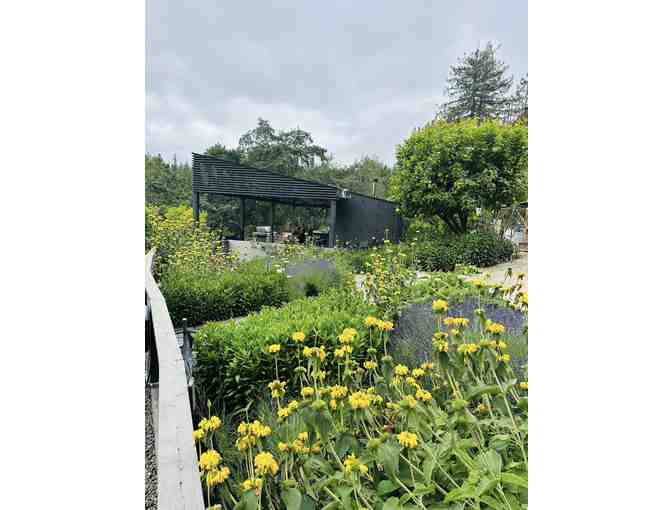 Garden Design Consulation with Dawn Smith -- 1 Hour Consult