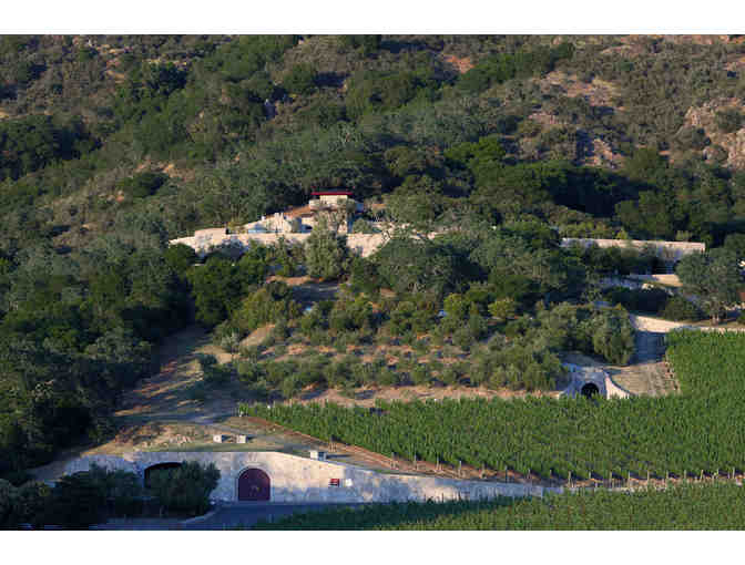 Palmaz Vineyards, Napa Valley -- Private Tour + Tasting for 4