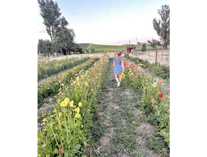 Cassidy Ranch, Sonoma: Pickleball Court Reservation, Farm Tour + 1 Flower Bouquet