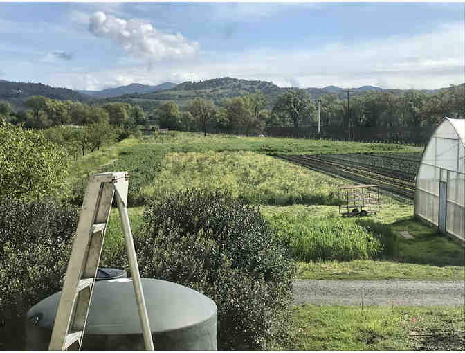 Long Meadow Ranch, Napa Valley -- Tour and Tasting for 8 Guests