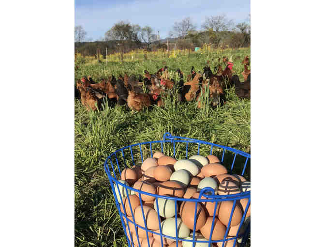Long Meadow Ranch, Napa Valley -- ONE Organic Seasonal Produce Box