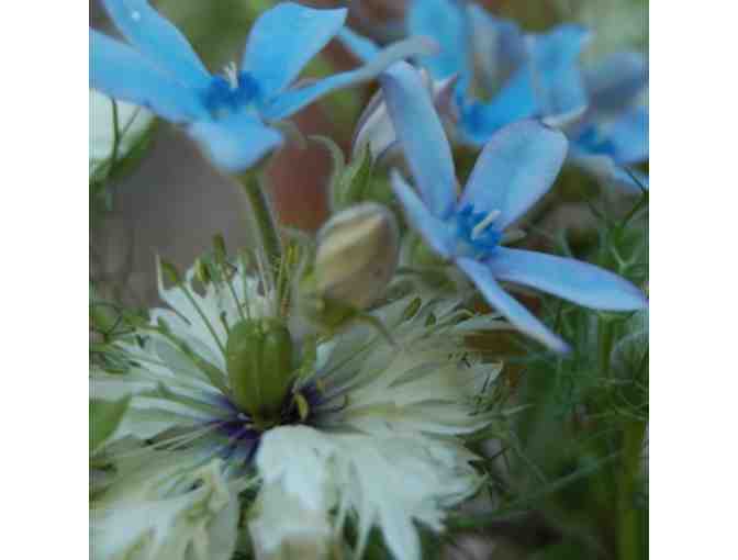 The Monkey Flower Group, Napa -- ONE Floral Arrangement