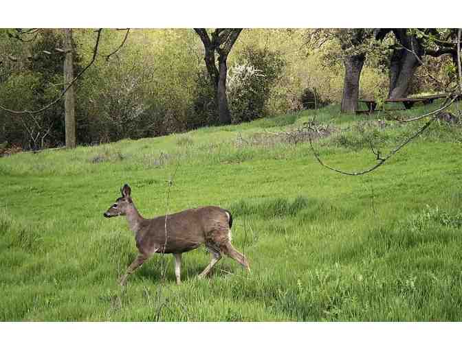 Skyline Wilderness Park, Napa -- Annual Family Park Pass + Swag