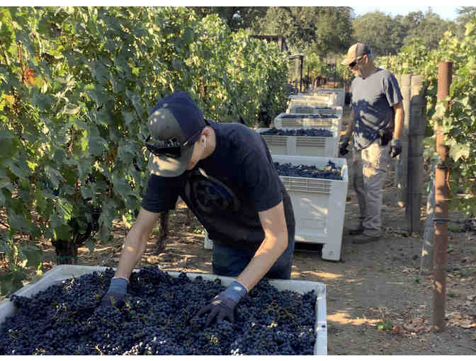 Mount George Winery, Napa: Private Event for 6 + Gift Basket with 3 Bottles & More