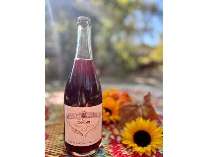 Bubbles Are Always a Good Idea! 3 Btls of Bubbles from Domaine Carneros, Onward Wines