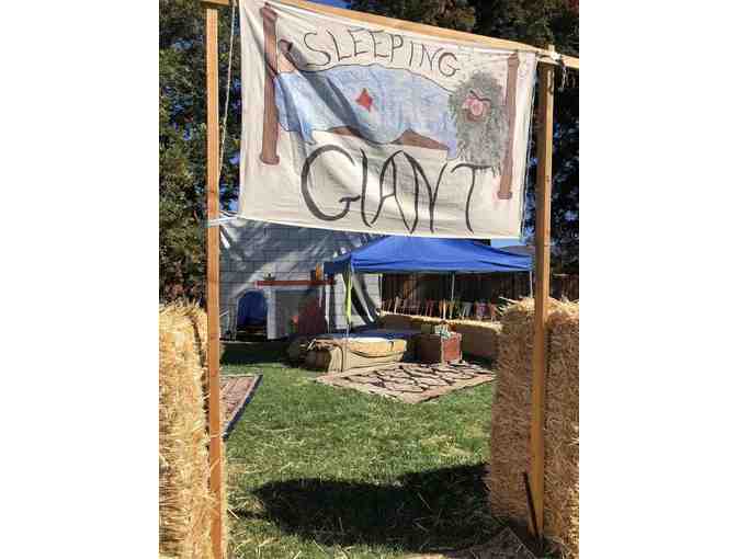 Enchanted Village Faire Experience: SWORD, SHIELD, EVF SHIRT + TICKETS for ONE Lucky Kid!