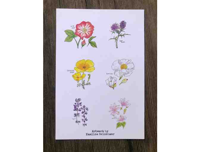 A Bundle of Hand-Painted Floral Notecards from SBS Alum Emaline (Lot #1)