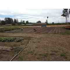 Stone Bridge School Farm