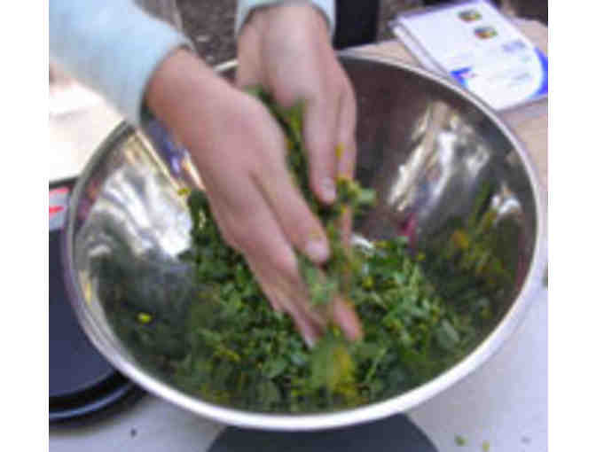 1 week of 'Herbal Kids Summer Camp' at California School of Herbal Studies