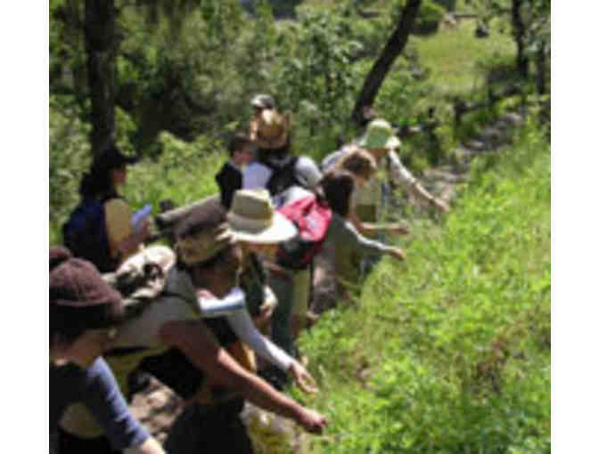 1 week of 'Herbal Kids Summer Camp' at California School of Herbal Studies