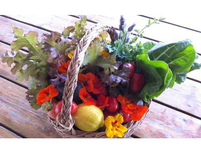 Gourmet South Indian Dinner for 6 at your place!