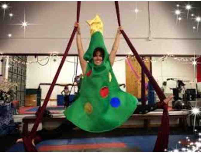 Gift Certificate for Aerial Classes - you choose!!