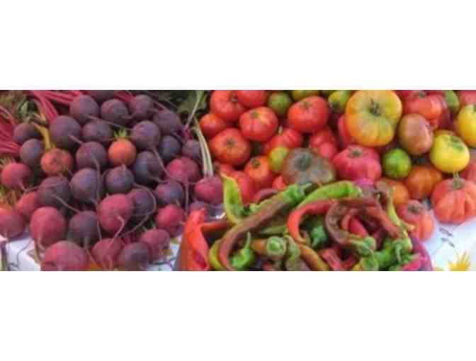 CSA Boxes from Singing Frogs Farm, 4 weekly boxes