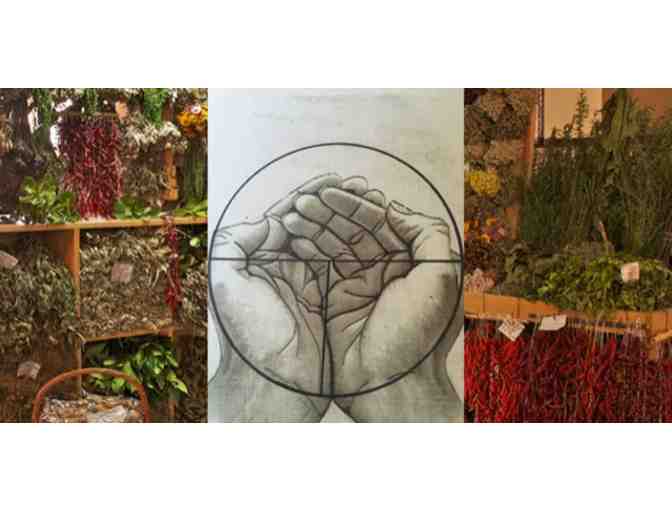 Nutrition Consultation with Nutritionist Mary Sheila Gonella