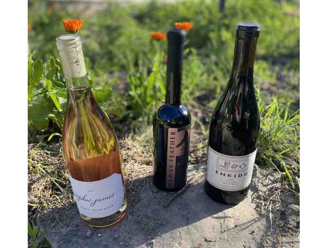 Sonoma County Picnic basket