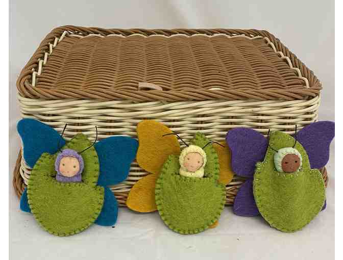 Chrysalis Butterfly Babies