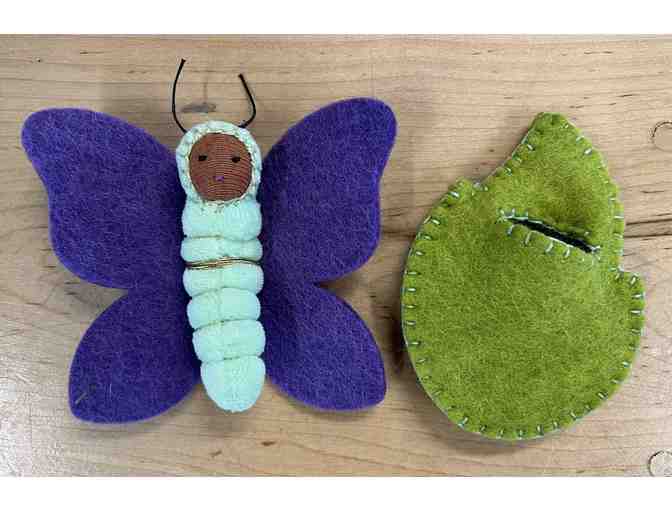 Chrysalis Butterfly Babies