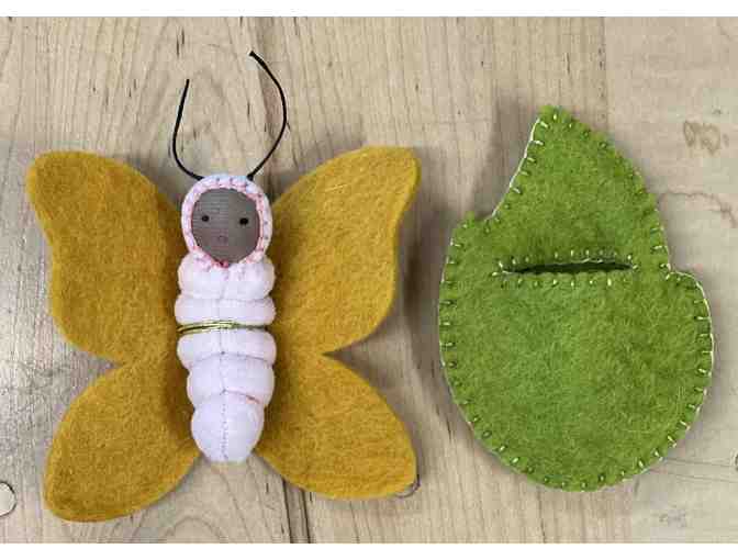 Chrysalis Butterfly Babies