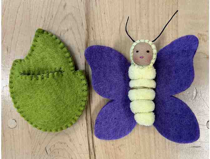 Chrysalis Butterfly Babies