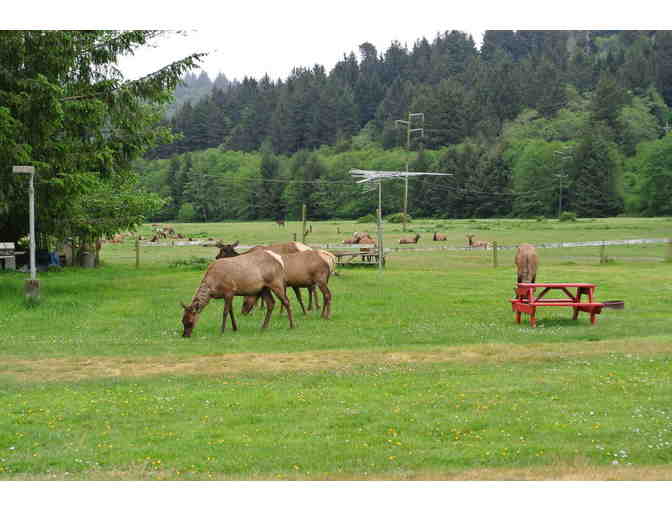 Elk Country RV Resort 2 night stay at 'the Cabin'