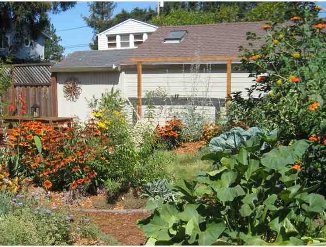 Landscape Design and Site Planning Consultation by Community Soil, Santa Rosa CA