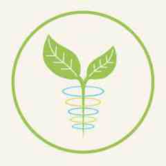 Wellspring Natural Medicine