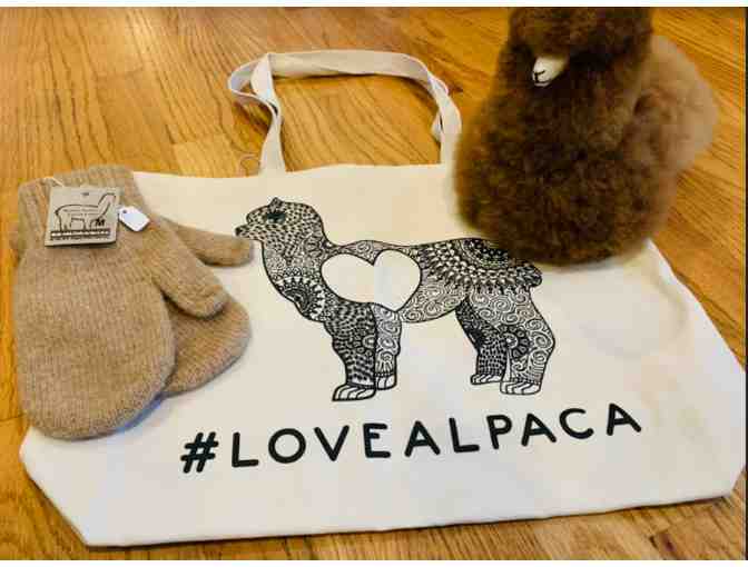 Alpaca Adventure -- Up Close and Personal!