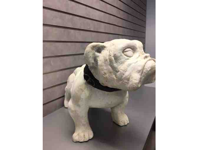 Concrete Bulldog