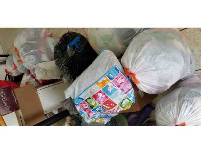 Professional Organizing 4 Hours