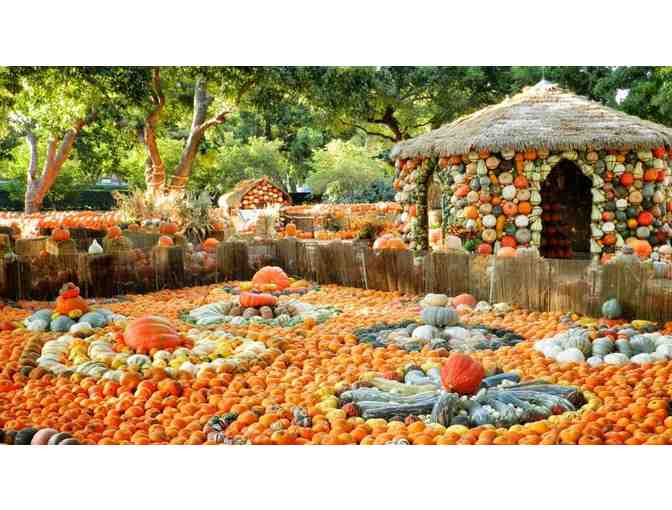 Four Complimentary Passes to the Dallas Arboretum