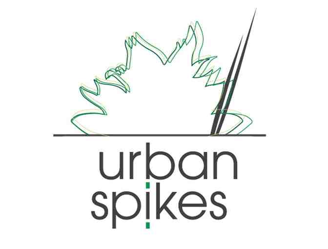 Succulent Arrangement from Urban Spikes