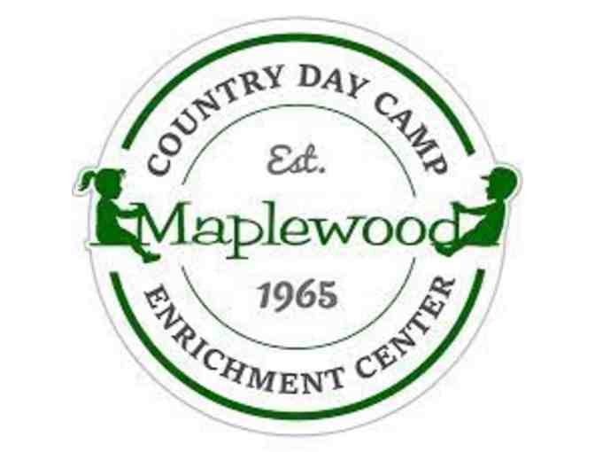 $250 Gift certificate to Maplewood School-Year programs - Photo 1