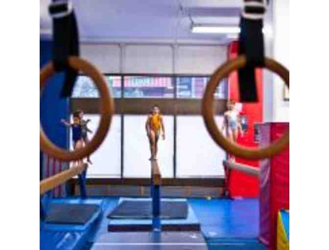 NYC Elite Gymnastics - One Full Week of Half Day Summer Camp at UES Location