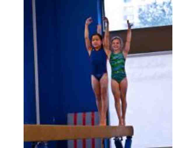 NYC Elite Gymnastics - One Full Week of Half Day Summer Camp at UES Location