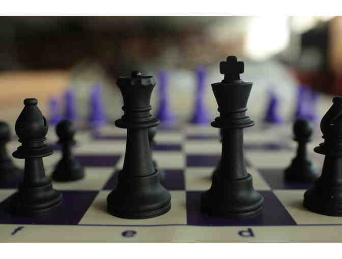 NEW Chess Set - Regulation Size Silicone Chess Set, Board, plus Book