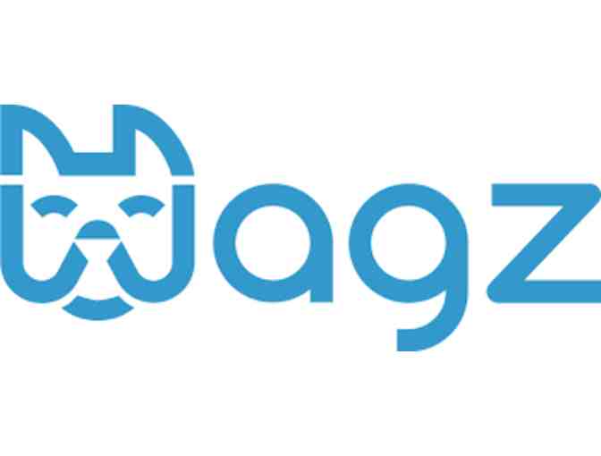 Petzi Smart Treat Dispenser for Your Pet