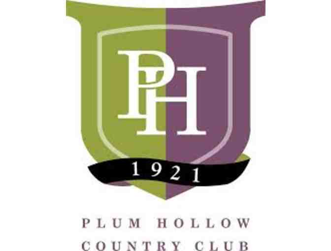 Plum Hollow Golf for 4 with cart