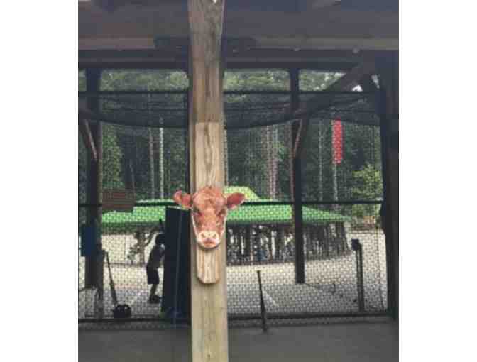 Kimball Farm in Westford -- 3 One-Activity Passes