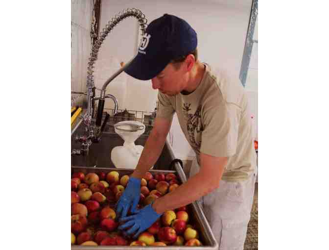 Pony Shack Cider Private Tour and Tasting for 4 Adults