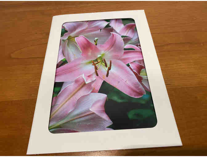 10 Photocards of Flowers, Animals, and Birds (#1)